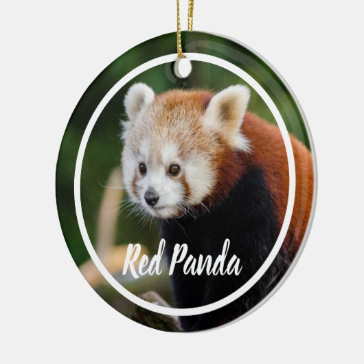 Süßer Roter-Panda-Rahmen Keramik Ornament (Links)