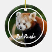 Süßer Roter-Panda-Rahmen Keramik Ornament (Hinten)
