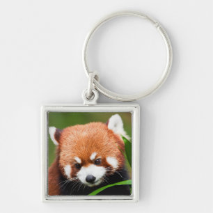 Süßer Roter Panda Schlüsselanhänger