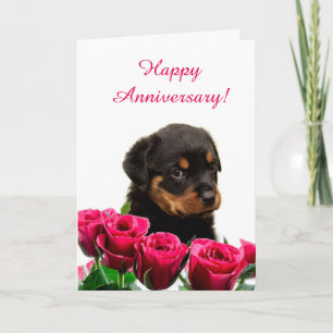 Süßer Rottweiler-Welpe Rose Jubiläum Karte