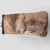 Süßer Ruby Cavalier King Charles Spaniel Golf Headcover (Vorderseite)