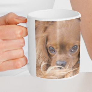 Süßer Ruby Cavalier King Charles Spaniel Kaffeetasse