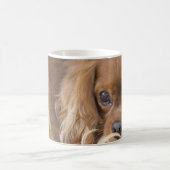Süßer Ruby Cavalier King Charles Spaniel Kaffeetasse (Mittel)