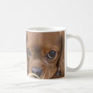 Süßer Ruby Cavalier King Charles Spaniel Kaffeetasse