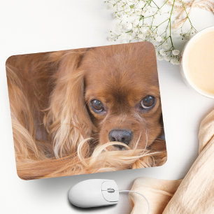 Süßer Ruby Cavalier King Charles Spaniel Mousepad