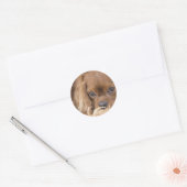 Süßer Ruby Cavalier King Charles Spaniel Runder Aufkleber (Umschlag)
