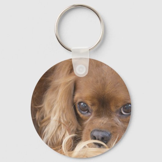 Süßer Ruby Cavalier King Charles Spaniel Schlüsselanhänger (Vorderseite)