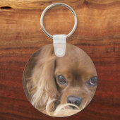 Süßer Ruby Cavalier King Charles Spaniel Schlüsselanhänger (Vorderseite)