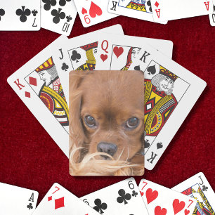 Süßer Ruby Cavalier King Charles Spaniel Spielkarten