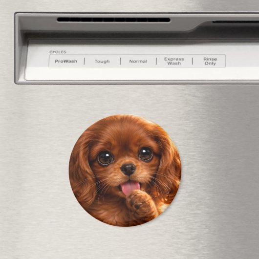 Süßer Ruby Cavalier Spaniel Magnet (In Situ (Geschirrspüler))