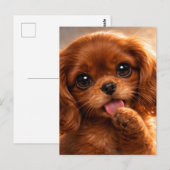 Süßer Ruby Cavalier Spaniel Postkarte (Vorne/Hinten)