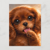 Süßer Ruby Cavalier Spaniel Postkarte (Vorderseite)