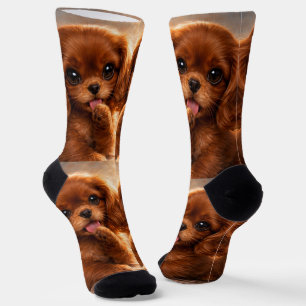 Süßer Ruby Cavalier Spaniel Socken