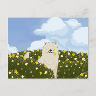 Süßer Samojede-Hund auf einem Feld gelber Blumen ( Postkarte