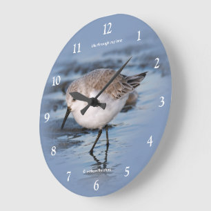 Süßer Sanderling-Küstenläufer, der einen Winterstr Große Wanduhr