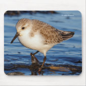 Süßer Sanderling Schnepfenvogel Strandvogel wander Mousepad (Vorne)