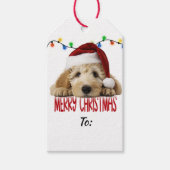 Süßer Santa Goldendoodle Weihnachten Geschenkanhänger (Vorderseite)