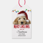 Süßer Santa Goldendoodle Weihnachten Geschenkanhänger (Rückseite)