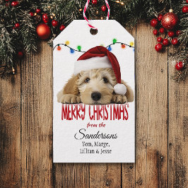 Süßer Santa Goldendoodle Weihnachten Geschenkanhänger