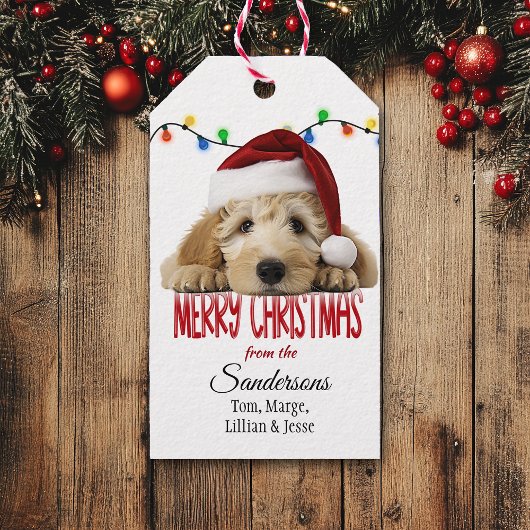 Süßer Santa Goldendoodle Weihnachten Geschenkanhänger