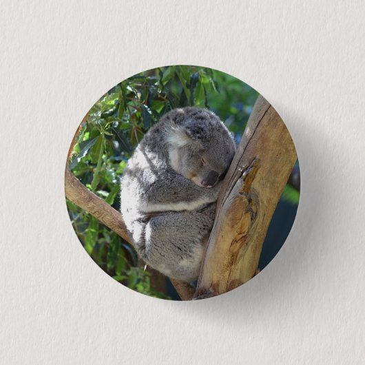 Süßer schlafender Koala im Baum Button (Vorderseite)