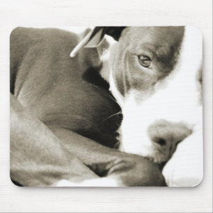süßer schläfriger faule Pit Bull Hund Mousepad