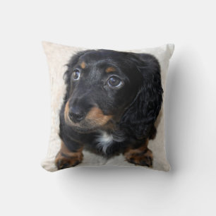 Süßer schwarzer Dachshund-Welpe Kissen