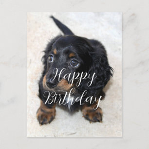 Süßer schwarzer Dachshund-Welpe zum Geburtstag Postkarte