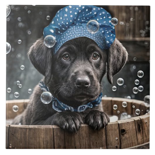 Süßer schwarzer Labrador-Welpe beim Schaumbad im S Fliese (Vorderseite)