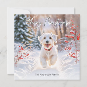 Süßer Sealyham Terrier Hund im Schnee Frohe Weihna Feiertagskarte