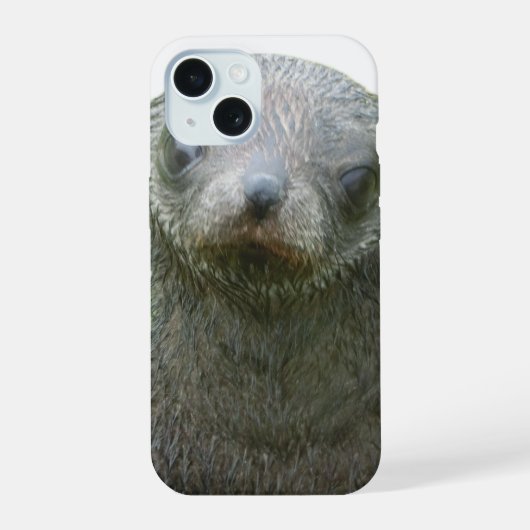 Süßer Seehund-Welpe iPhone 15 Hülle (Rückseite)