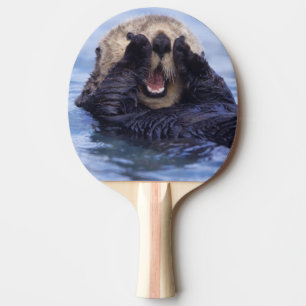 Süßer Seeotter Alaska, USA Tischtennis Schläger