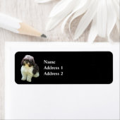 Süßer Shih Tzu Welpe (Insitu)