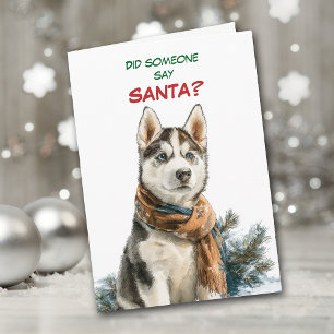 Süßer sibirischer Husky-Hund sucht nach Santa Feiertagskarte