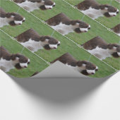 Süßer SpringerSpaniel Geschenkpapier (Ecke)