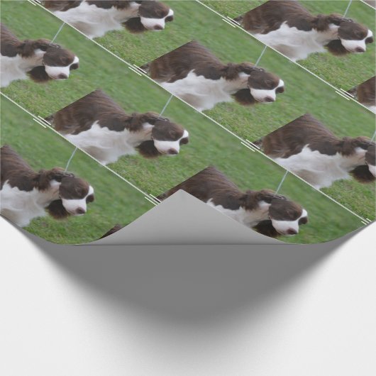 Süßer SpringerSpaniel Geschenkpapier (Ecke)
