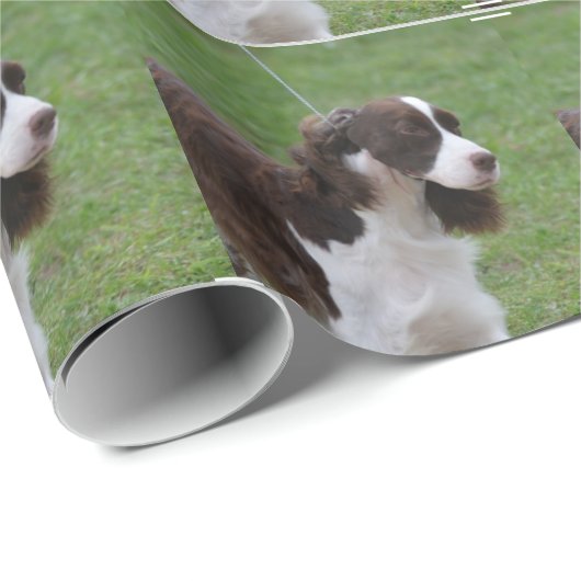 Süßer SpringerSpaniel Geschenkpapier (Rolleneckpunkt)