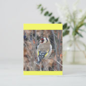 Süßer Stieglitz DIY Postkarte (Stehend Vorderseite)