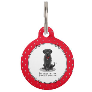 Süßer verwöhnter schwarzer Labrador Retriever Hund Haustiermarke