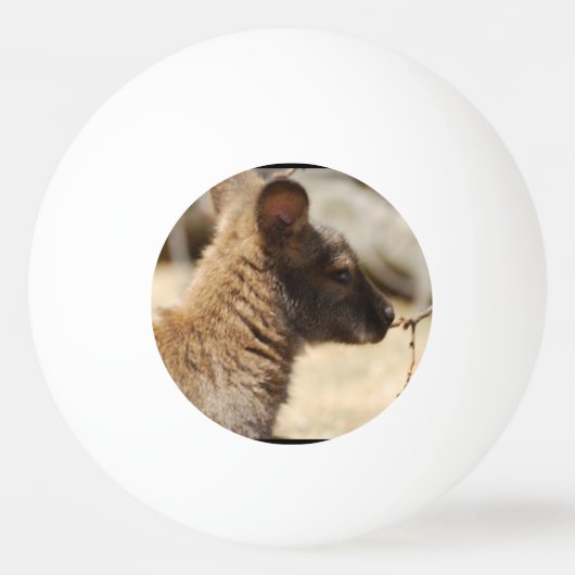 Süßer Wallaby Tischtennisball (Vorderseite)