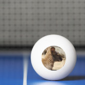 Süßer Wallaby Tischtennisball (Netto)