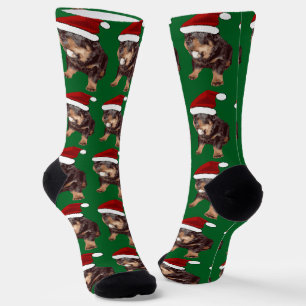 Süßer Weihnachts-Rottweiler mit roter Santa-Mütze Socken