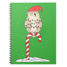 Süßer Weihnachtskauz