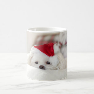 Süßer weißer Hund in einem roten Weihnachtsmann-Hu Kaffeetasse