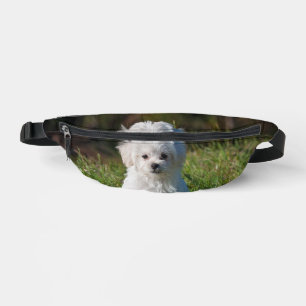 Süßer weißer Welpe Bauchtasche