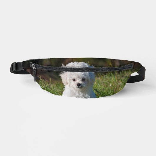 Süßer weißer Welpe Bauchtasche (Vorderseite)
