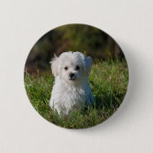 Süßer weißer Welpe Button (Vorderseite)