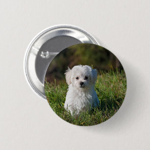 Süßer weißer Welpe Button