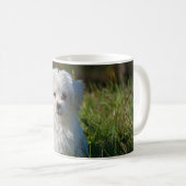 Süßer weißer Welpe Kaffeetasse (VorderseiteRechts)