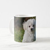 Süßer weißer Welpe Kaffeetasse (Vorderseite Links)